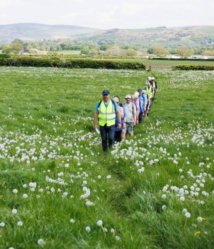 Tickets are now on sale for Garstang Walking Festival